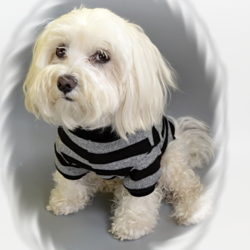 Podzimní - zimní kolekce 2018