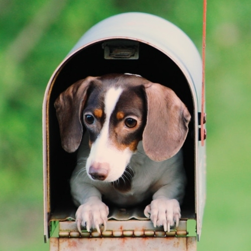 Akční cena poštovného