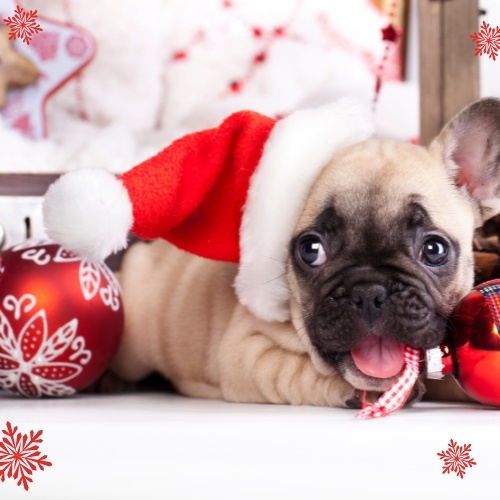 Objednávky do Vánoc + šití na míru