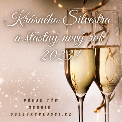 Přejeme vám všem krásného Silvestra