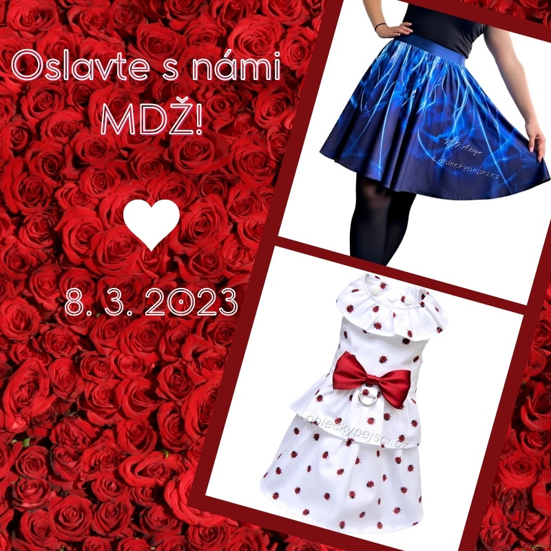 Na MDŽ se ani na psí slečny nezapomíná!