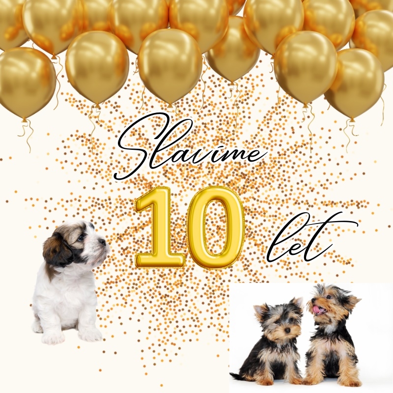 Už 10 let jsme tu pro vaše pejsky