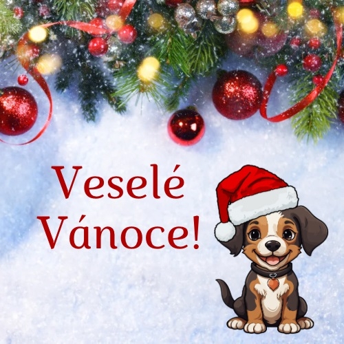 Veselé Vánoce