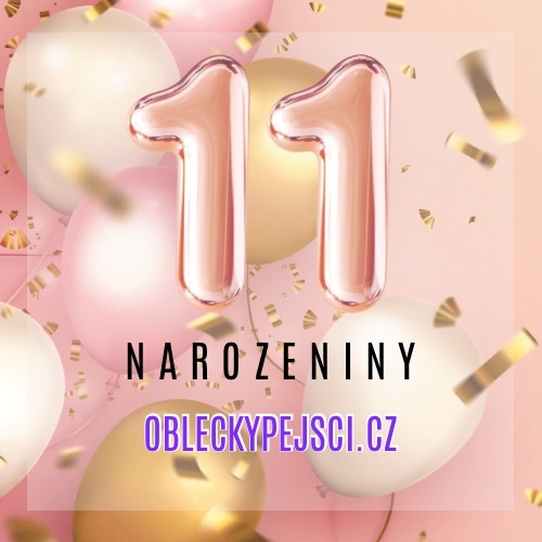 11 NAROZENINY e- shopu