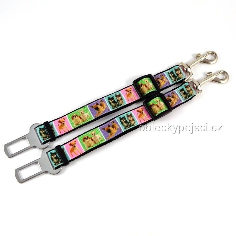 Pás do auta Čivava