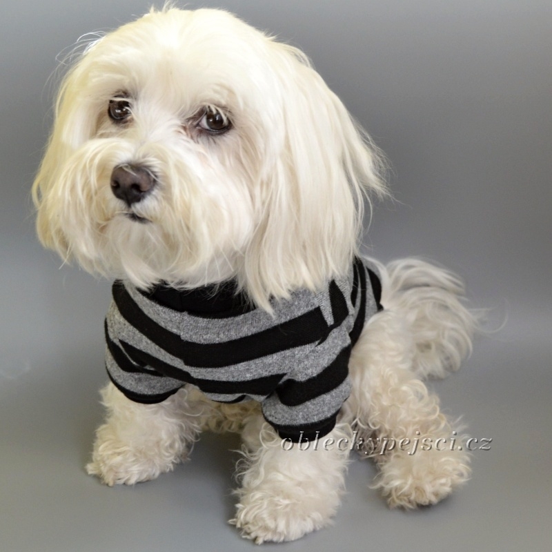 Svetřík jarní - letní Proužek