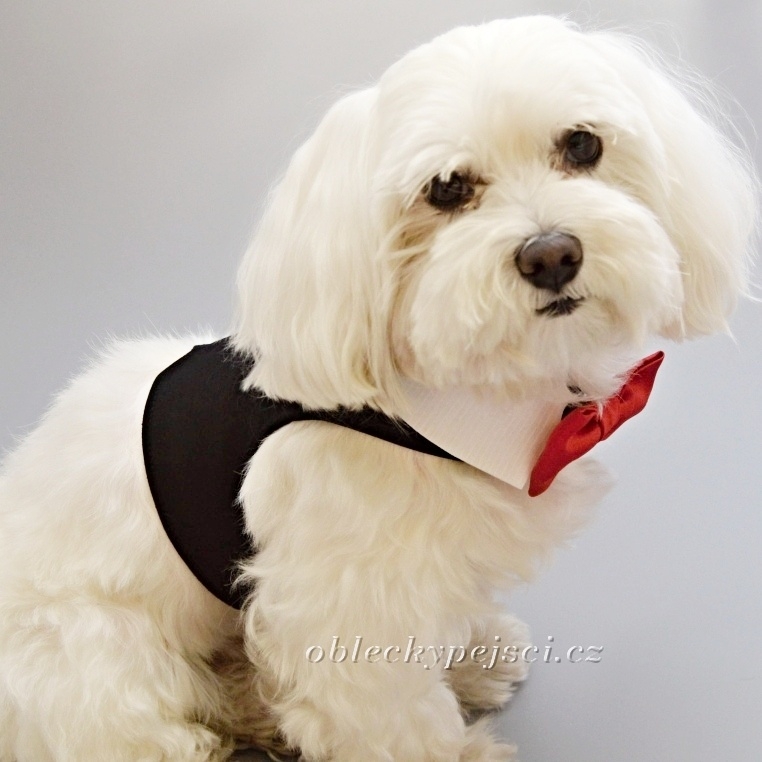 Svatební kšíry černé s červeným motýlkem