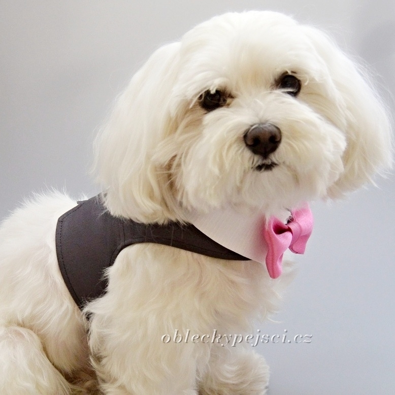 Svatební kšíry šedé s růžovým motýlkem