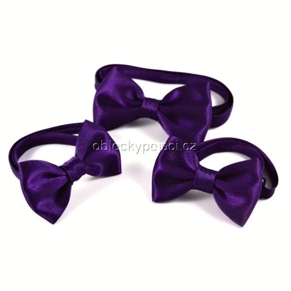 Saténový motýlek Fialový