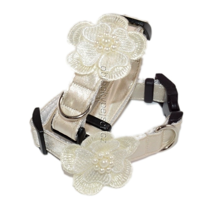 Svatební obojek Světlonce krémová kytička