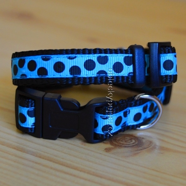 Obojek tyrkysově modrý Černý puntík