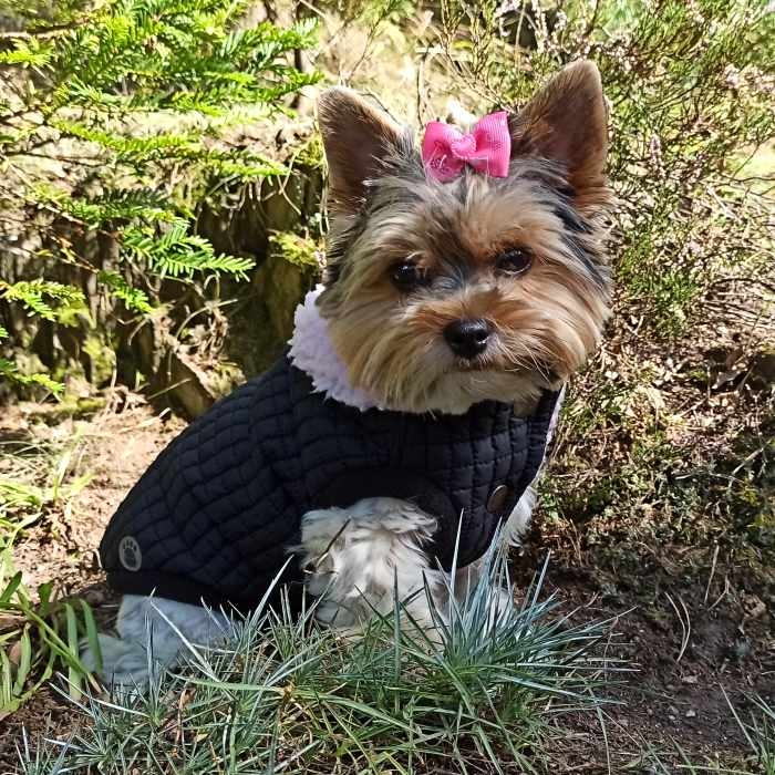 Zimní bunda Černá s růžovou sherpou