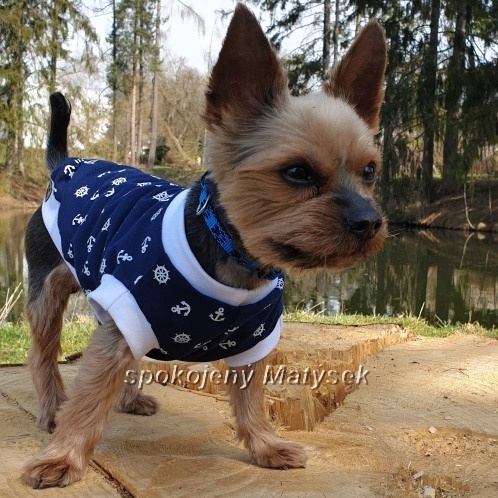 Tričko  Námořník