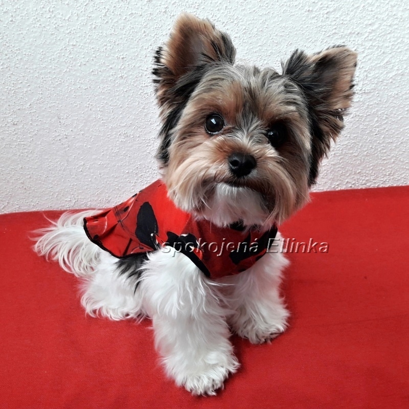 Tričko - šaty  Beruška 1