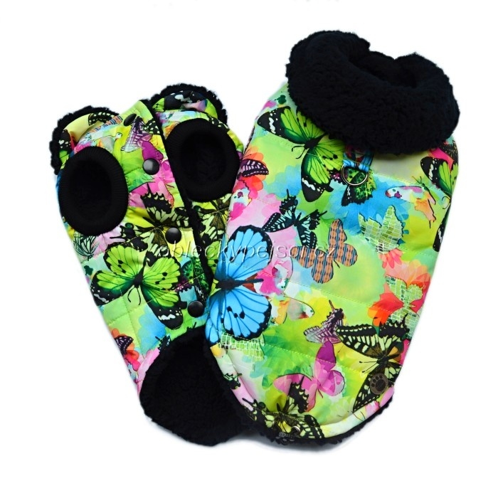 Zimní bunda Motýlek