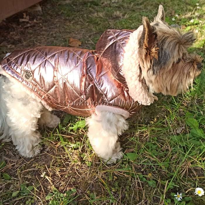 Zimní bunda Starorůžová lesk