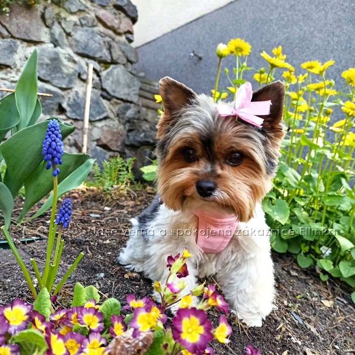 Letní kšíry Světle růžové s mašličkou