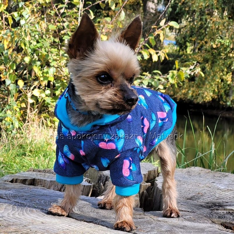 Tepláková mikina Motýlek s kapucí