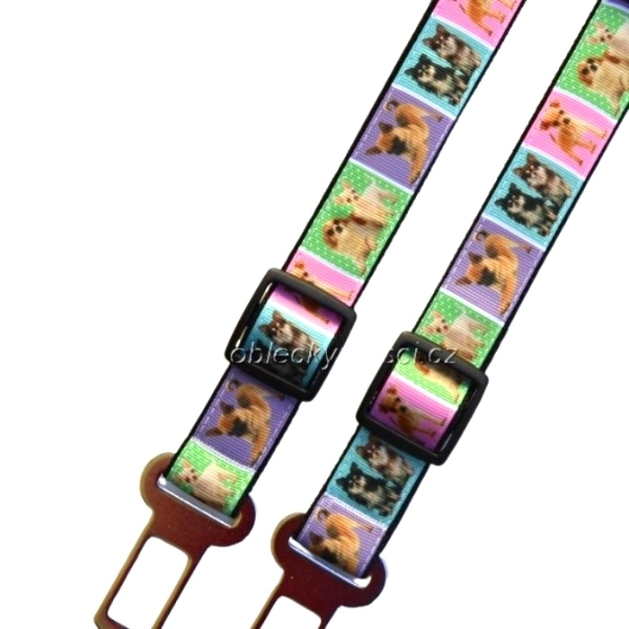 Pás do auta  barevný - Čivava