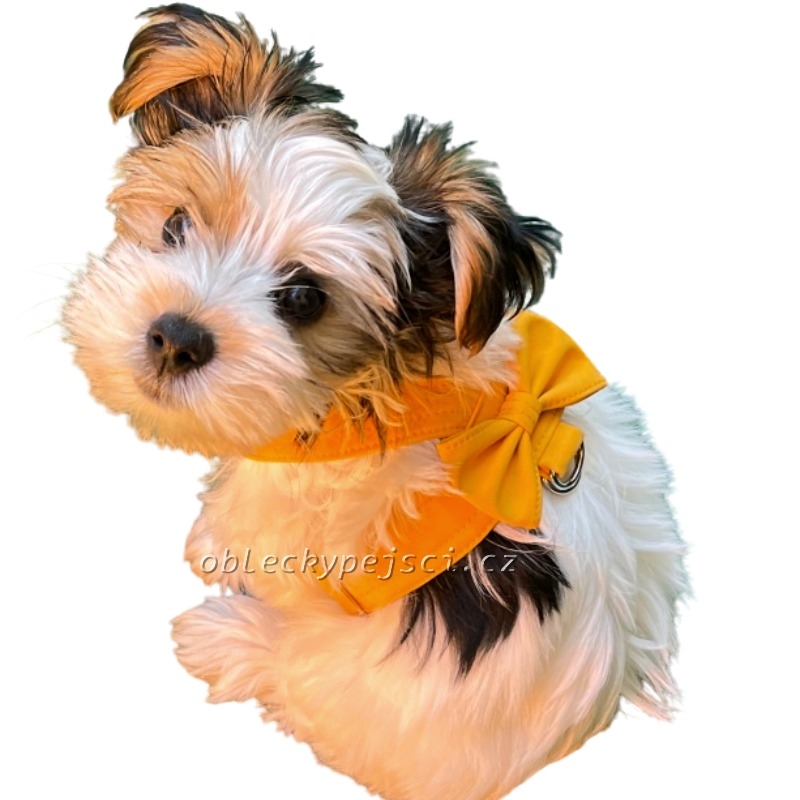 Kšíry s mašličkou Okrově žluté